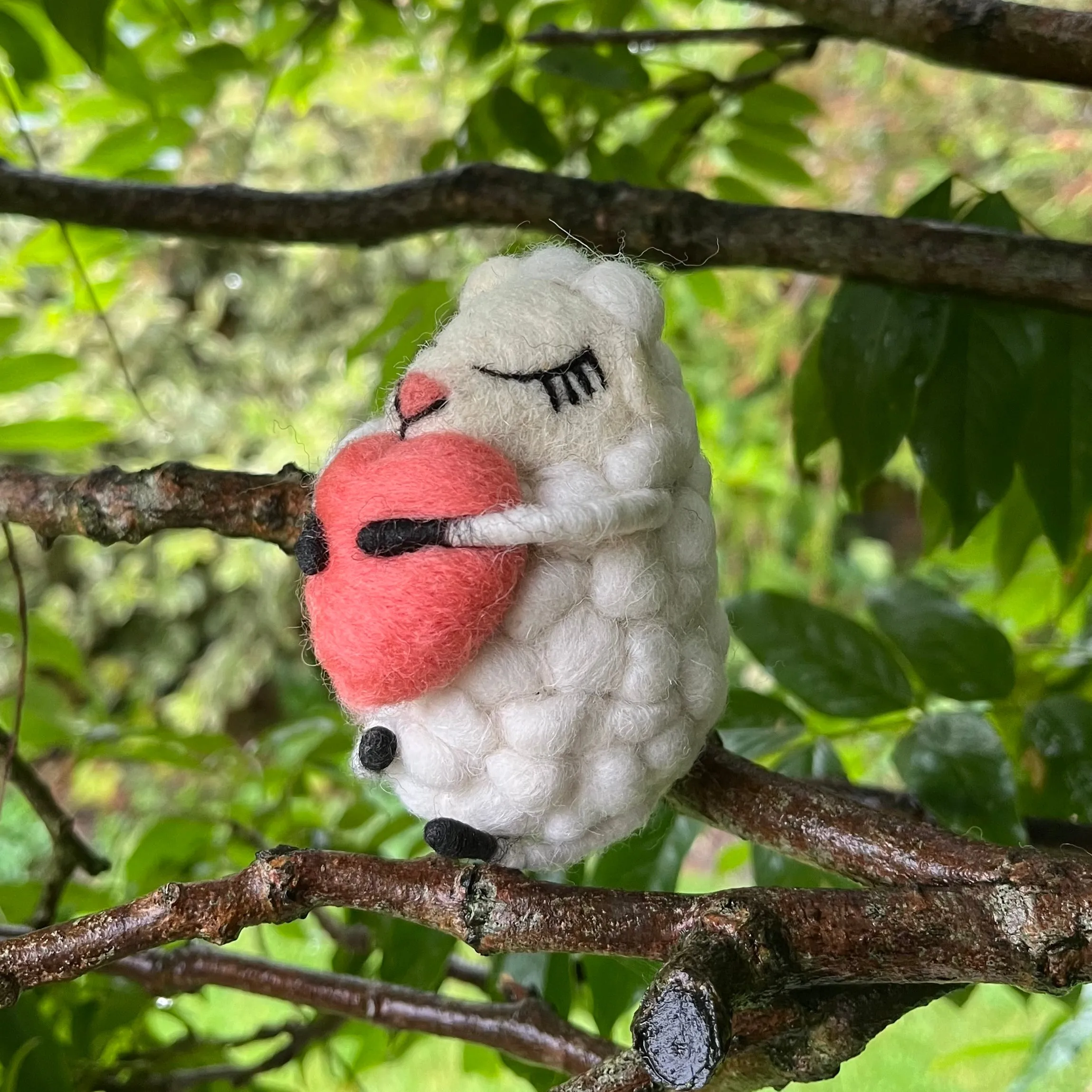 Loving Lottie Sheep