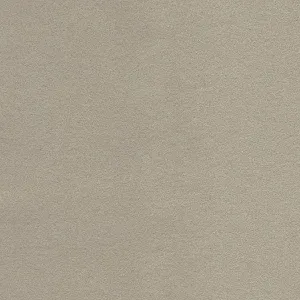 Wool Felt Quarter Yard in Light Gray